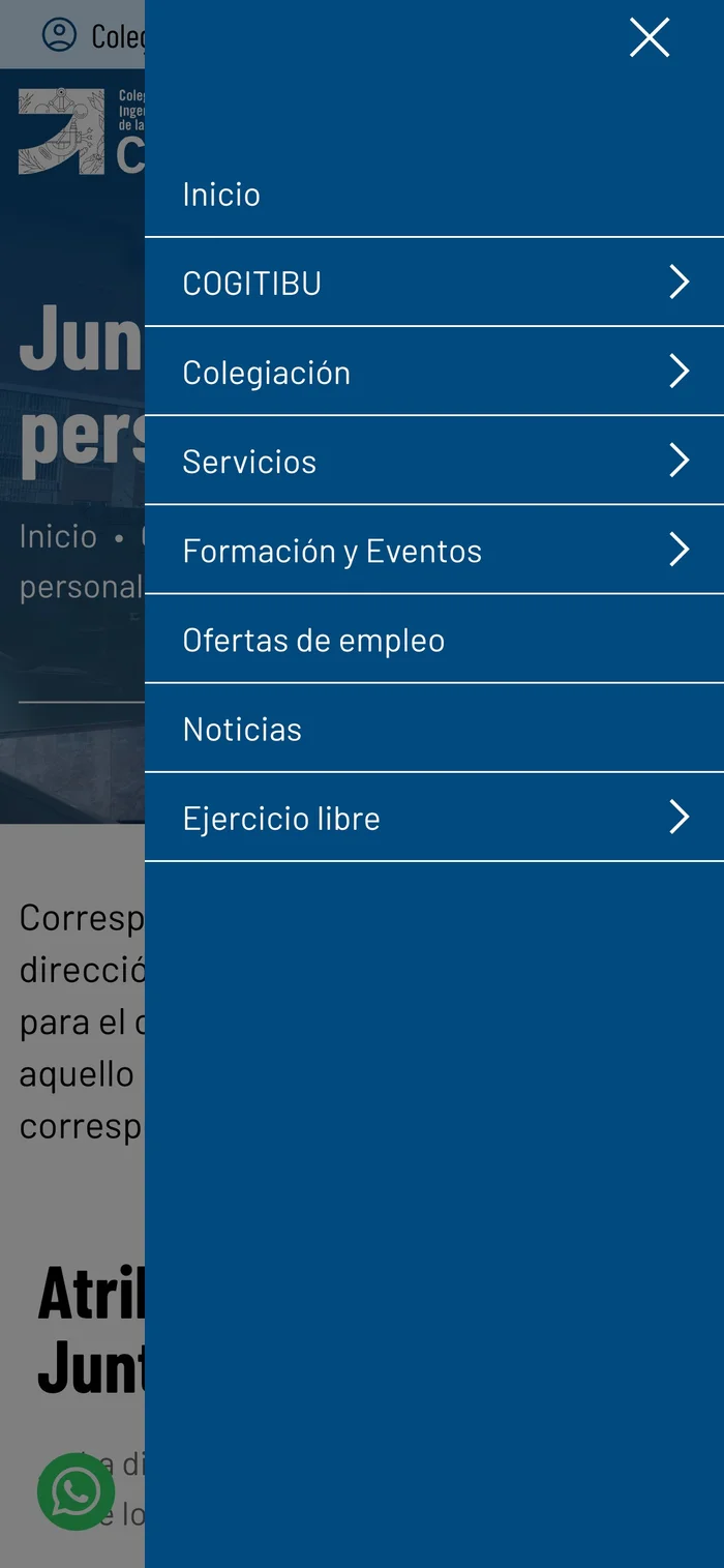 Vista de la web COGITIBU