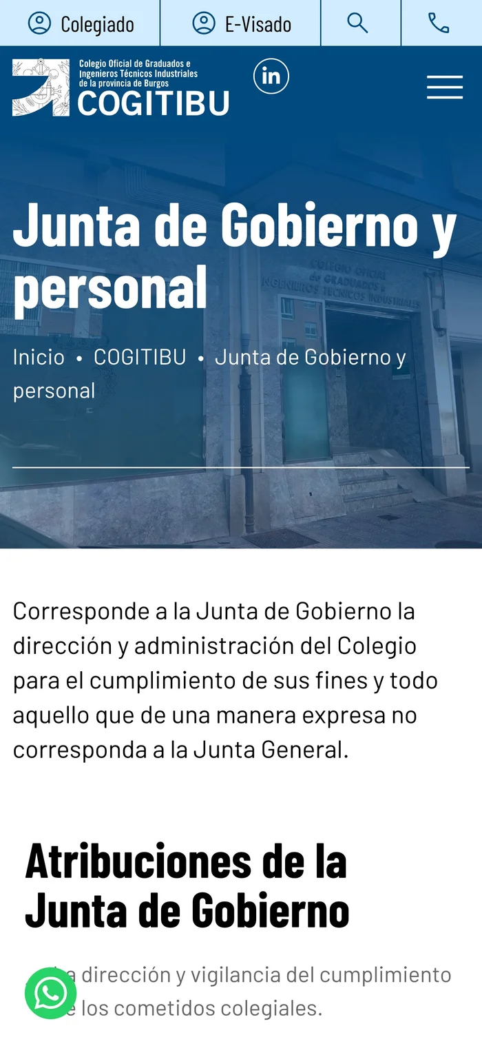 Vista de la web COGITIBU