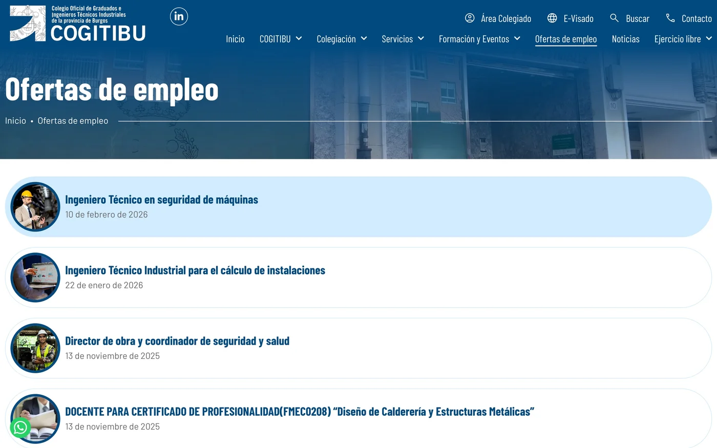 Vista de la web COGITIBU