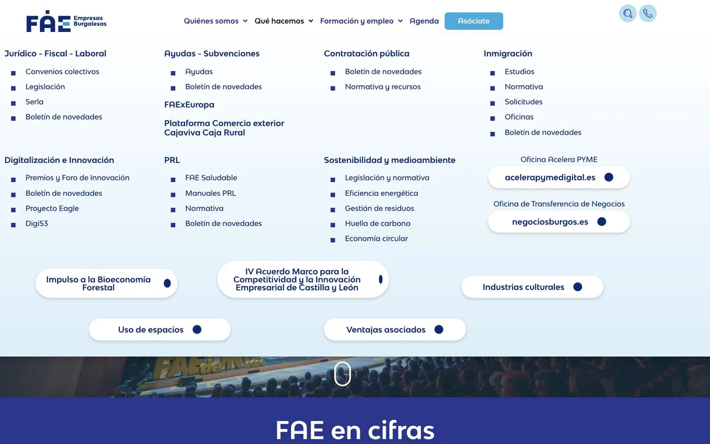 Vista de la web FAE Burgos