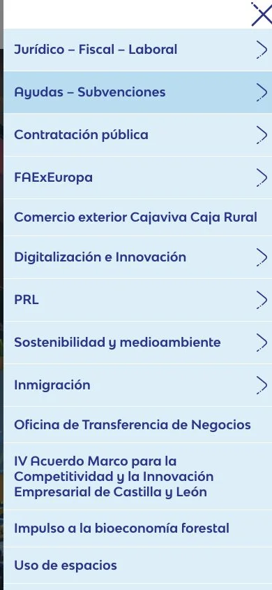 Vista de la web FAE Burgos