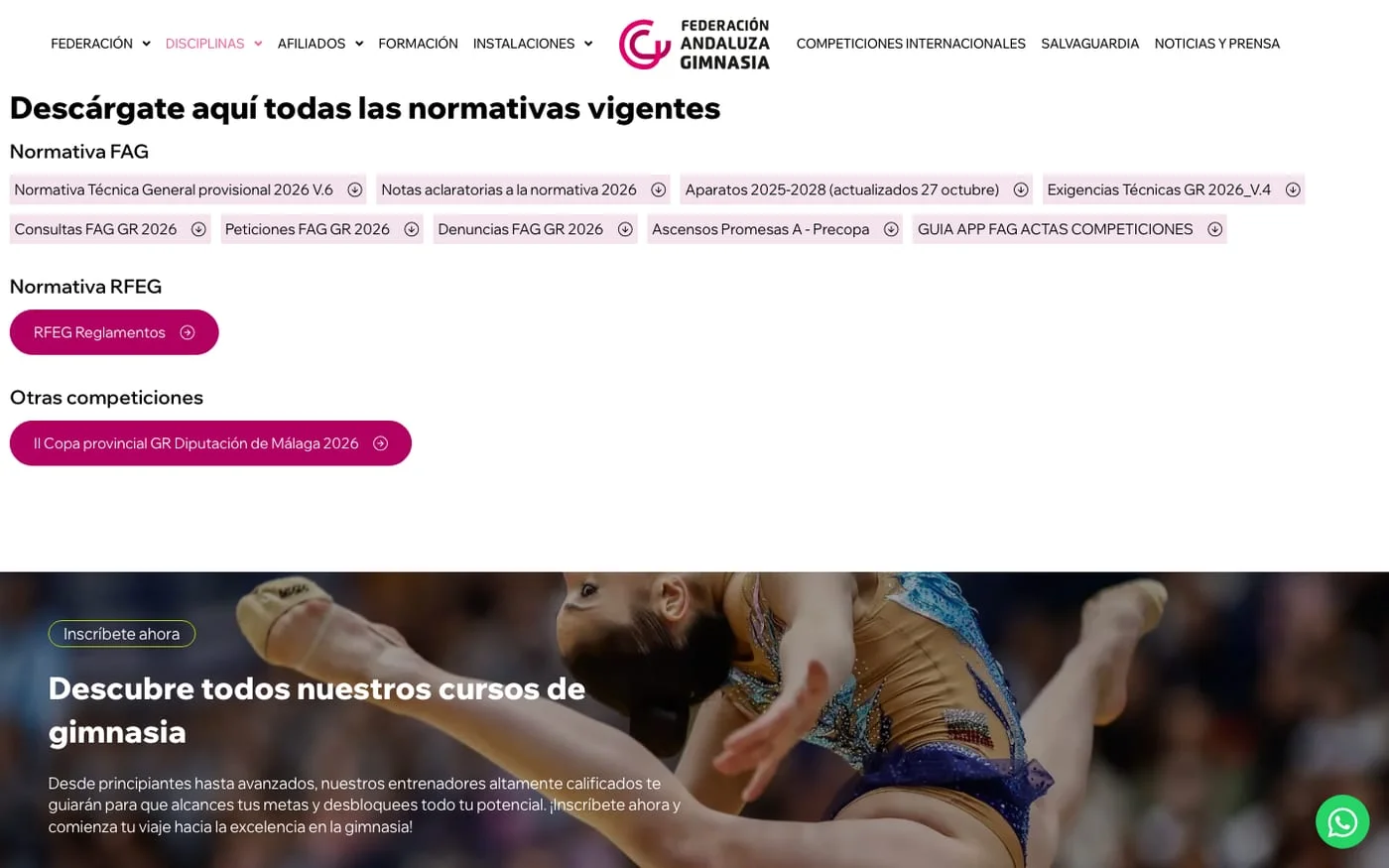 Vista de la web Federación Andaluza de Gimnasia
