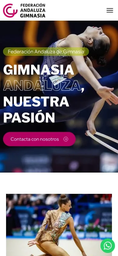 Vista de la web Federación Andaluza de Gimnasia