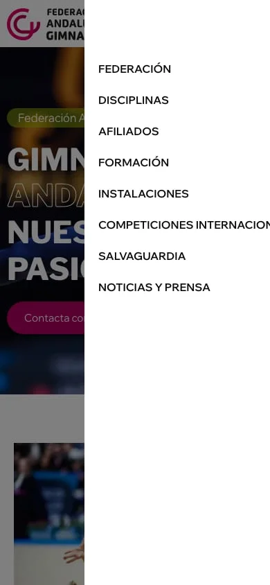 Vista de la web Federación Andaluza de Gimnasia