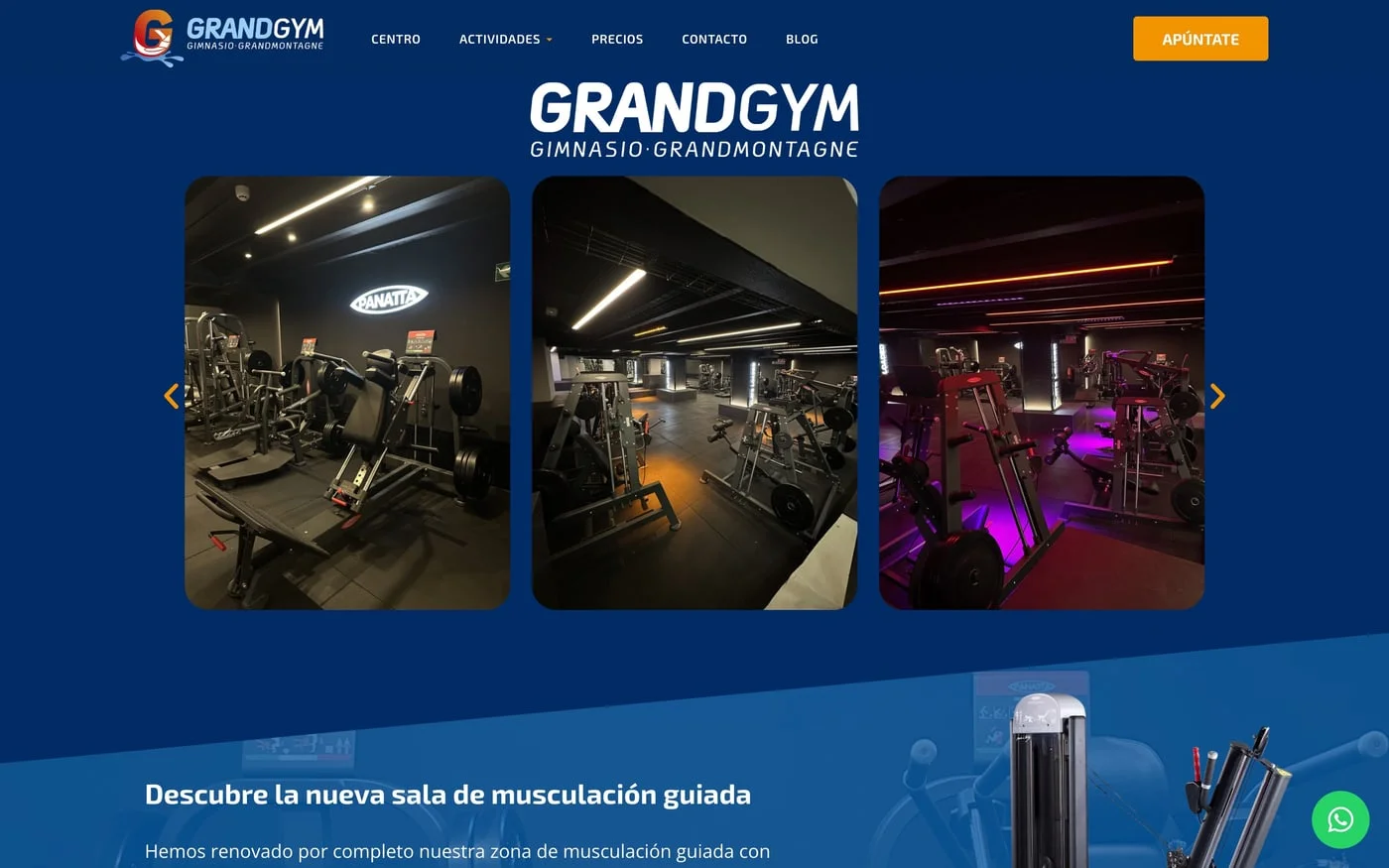 Vista de la web GrandGym