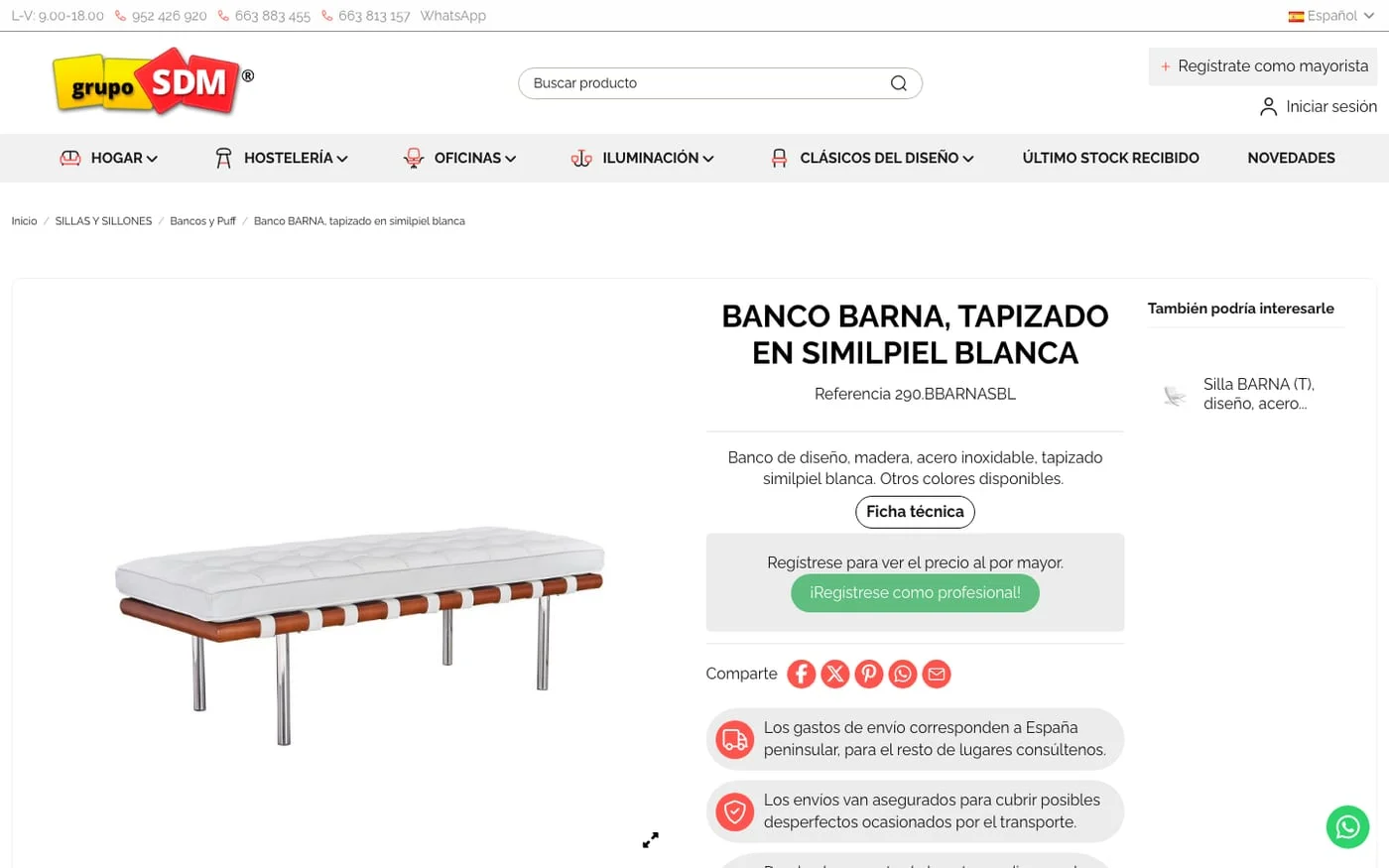 Vista de la web Grupo SDM