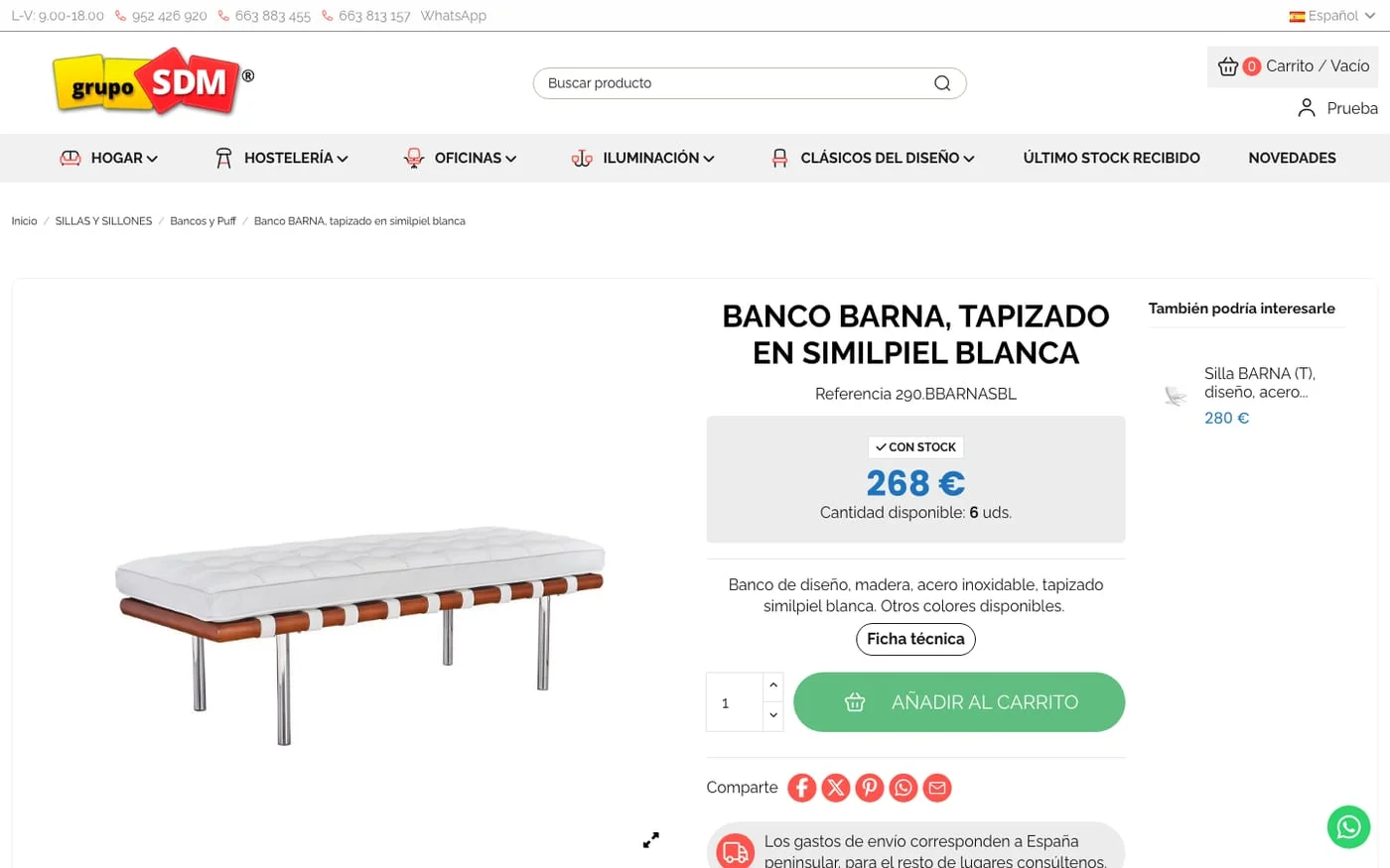 Vista de la web Grupo SDM