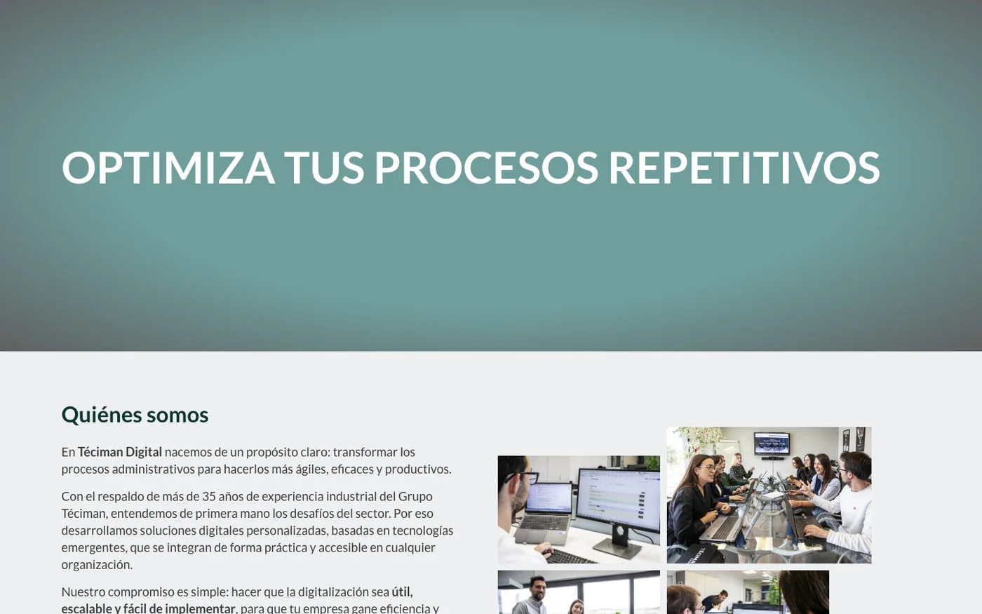 Vista de la web Téciman